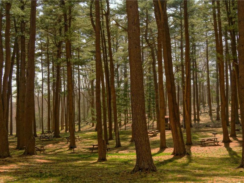 sudoku techniques screenshot 6