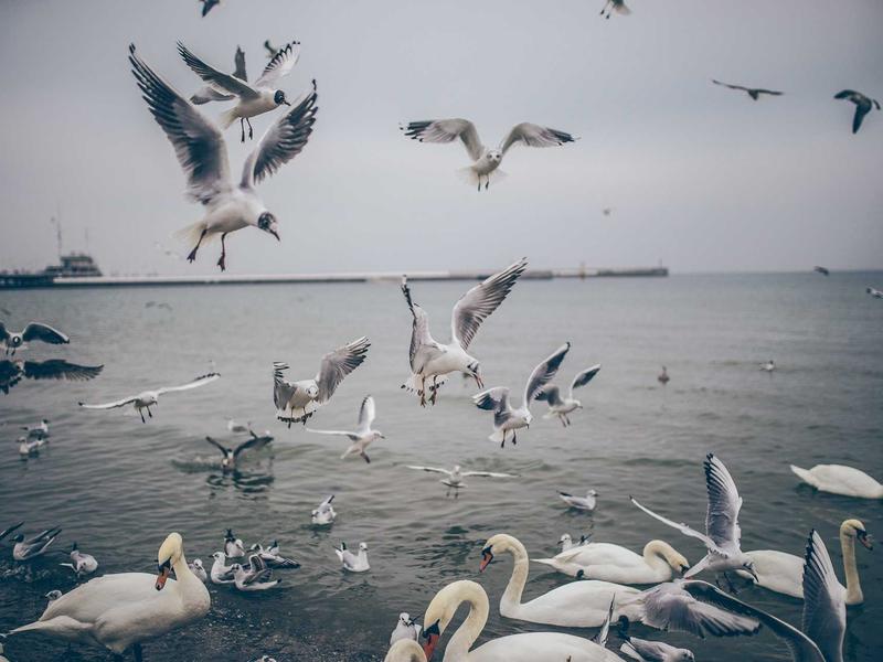 accessibility screenshot 4